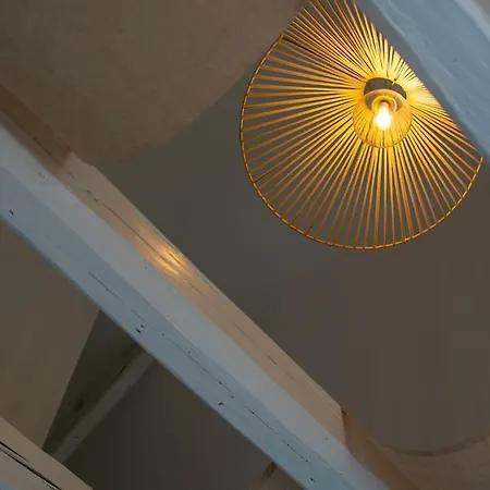 Duplex Unique A Proche Aeroport * Duppigheim